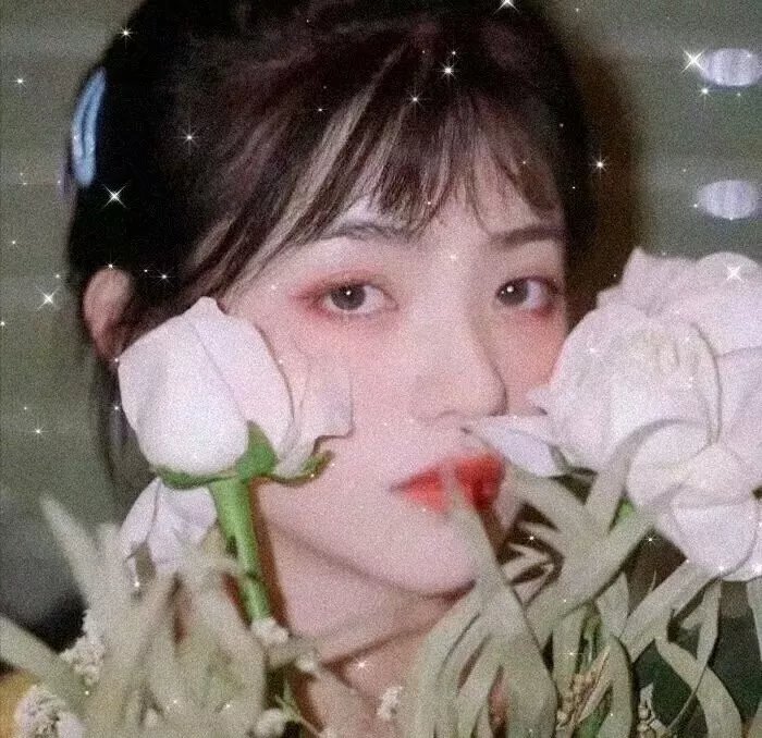 闪电狗